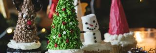 Festive Image - Christmas Breaks at the Anner Hotel