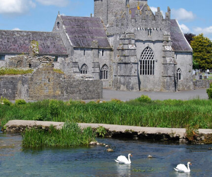 Family enjoying scenic views at The Anner Hotel with historic architecture and swans.
