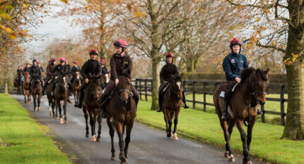 Group horseback riding through scenic countryside in autumn at The Anner Hotel.