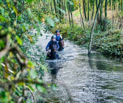 A couple horse riding through a lush forest stream near The Anner Hotel.