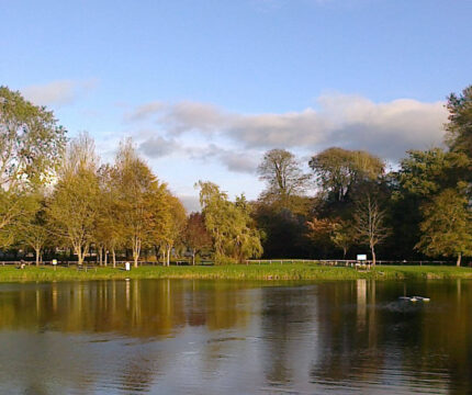 A tranquil lakeside view in a lush park near The Anner Hotel, with trees and calm water under a blue sky.