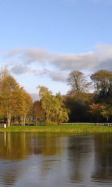 A tranquil lakeside view in a lush park near The Anner Hotel, with trees and calm water under a blue sky.