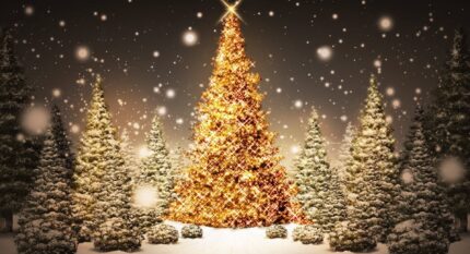 Family enjoys snow near a bright, festive Christmas tree in a winter wonderland.