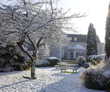 Snow-covered garden with trees and benches at The Anner Hotel, inviting winter ambiance.